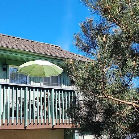 Ferienwohnung Strandwurzel Zempin Luaran gambar